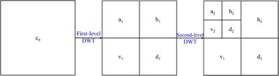 Near-surface velocity inversion and modeling method based on surface waves in petroleum exploration: a case study from Qaidam Basin, China